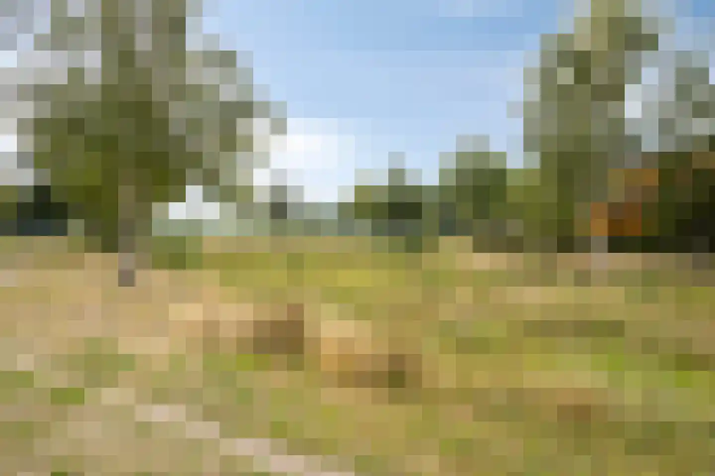 Tongelreep 19 Valkenswaard thumbnail 41