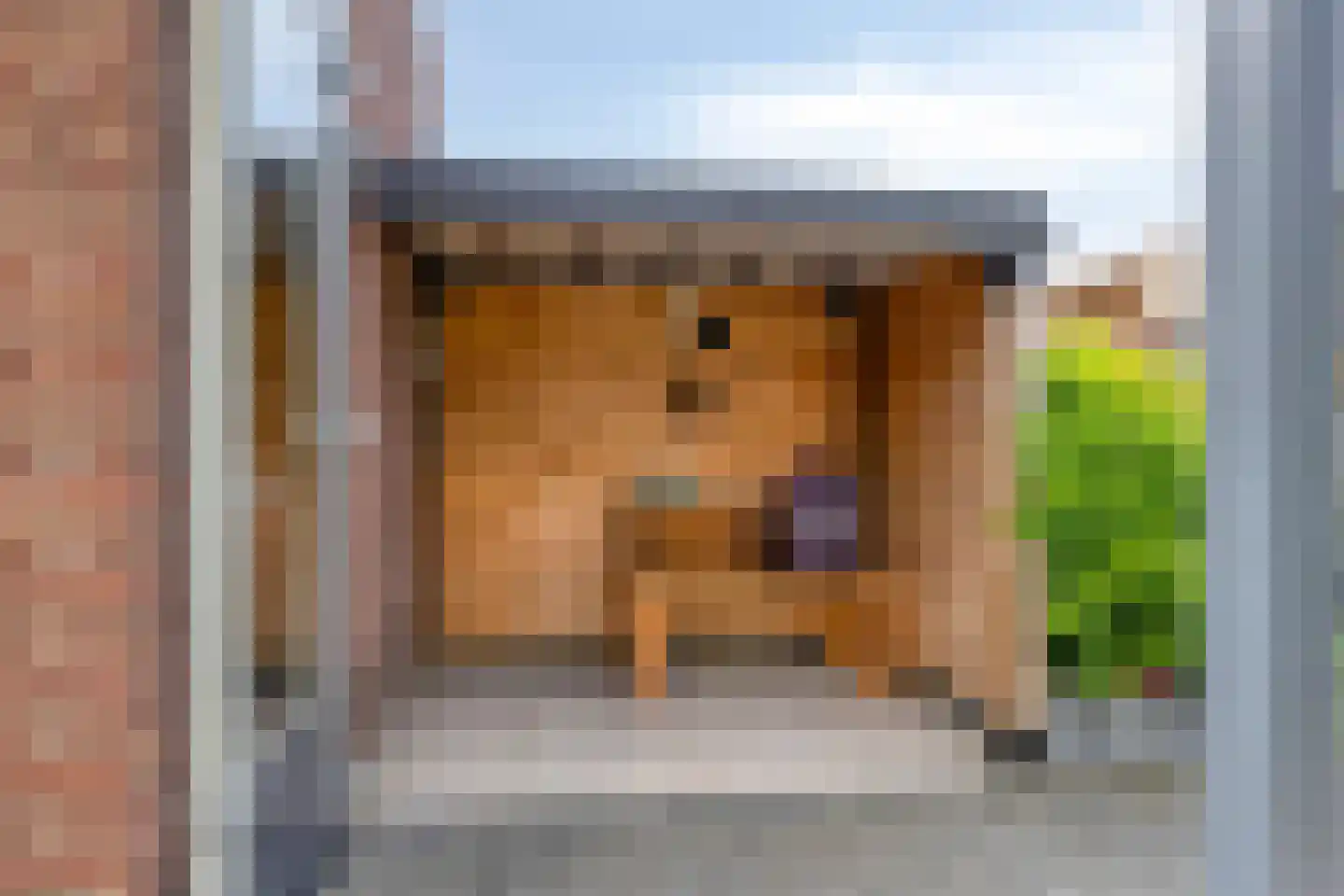 Tongelreep 24 Valkenswaard thumbnail 37