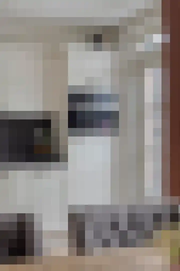 Tongelreep 27 Helmond thumbnail 13