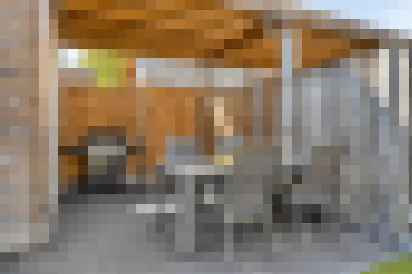 Tongelreep 28 Valkenswaard thumbnail 29