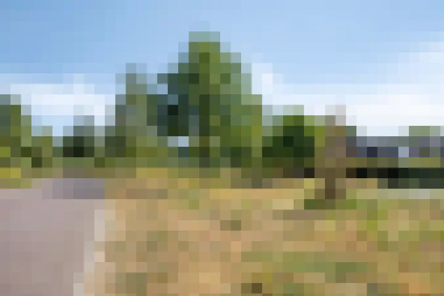Tongelreep 28 Valkenswaard thumbnail 31