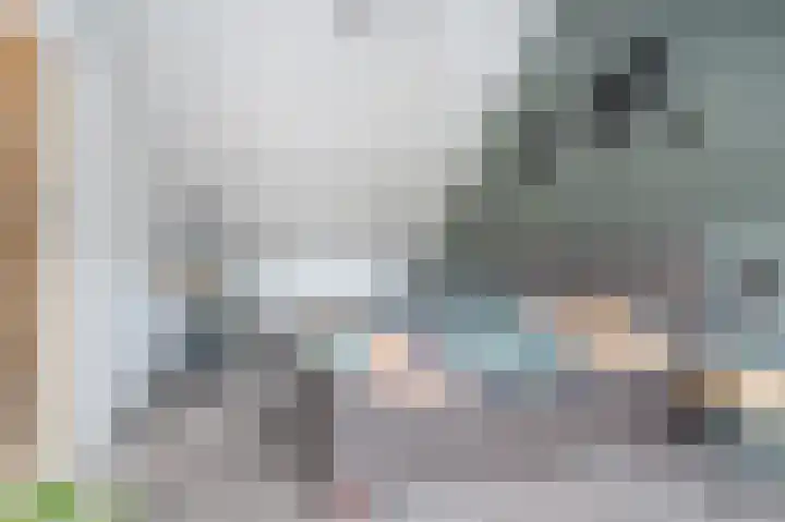 Tongelreep 3 Valkenswaard thumbnail 30