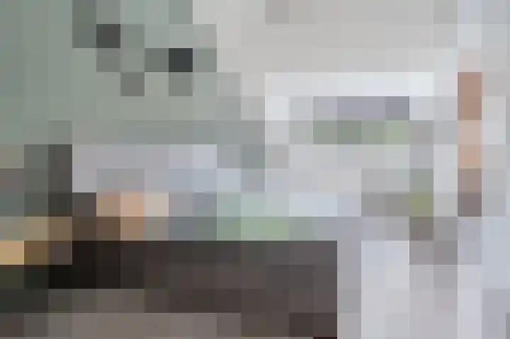 Tongelreep 3 Valkenswaard thumbnail 31