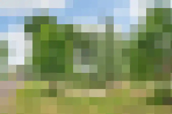 Tongelreep 3 Valkenswaard thumbnail 35