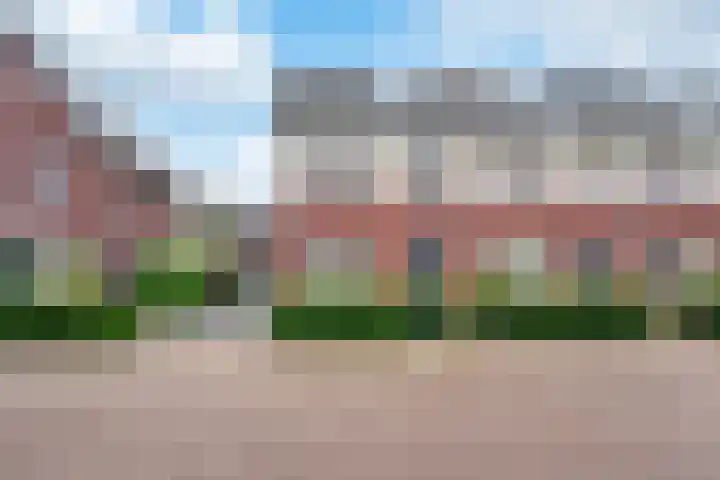 Tongelreep 3 Valkenswaard thumbnail 6