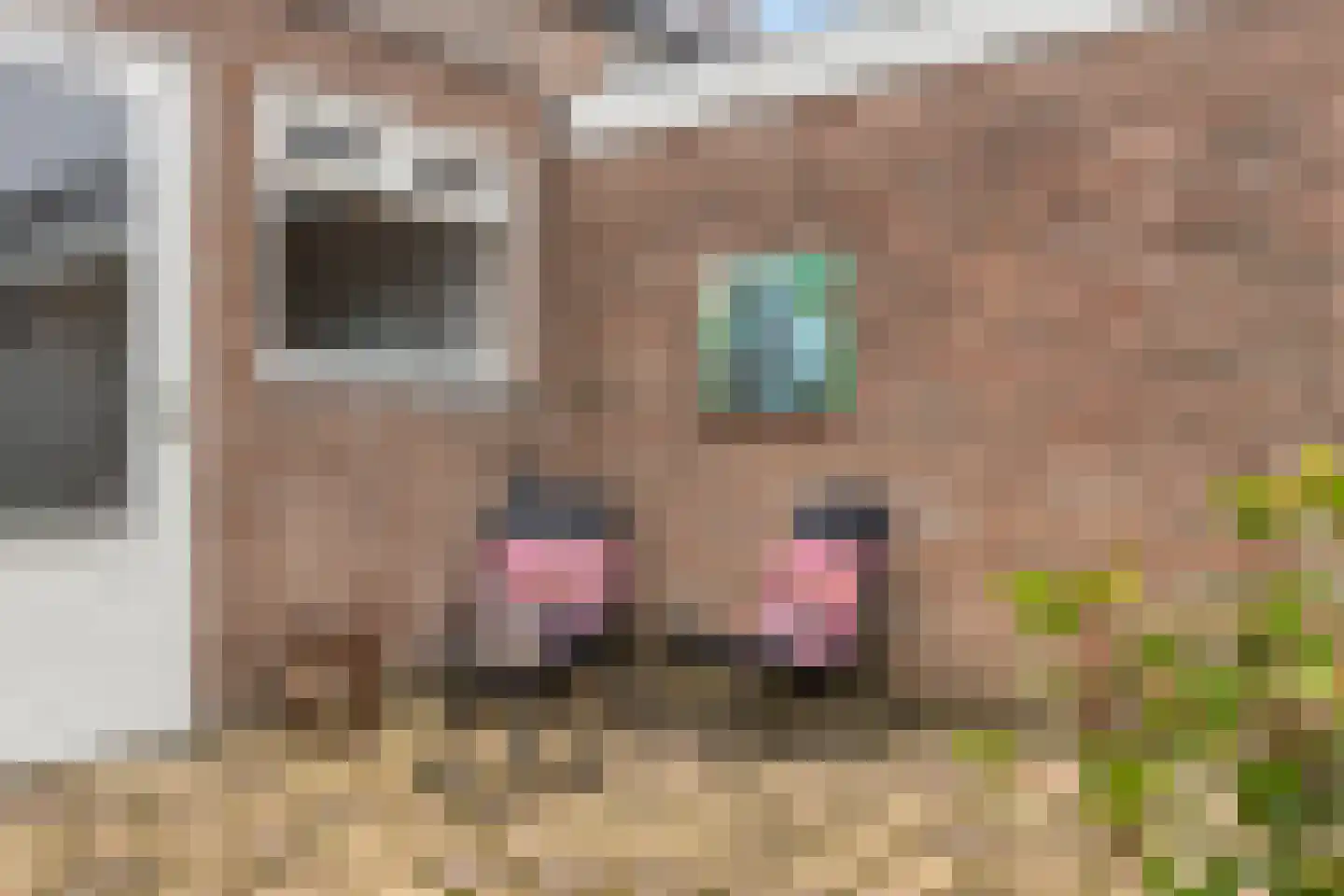 Tongelreep 36 Oisterwijk thumbnail 32
