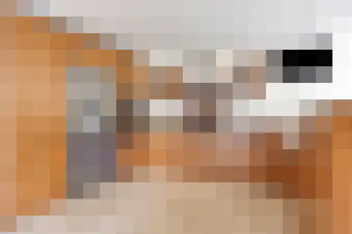 Tongelreep 41 Veldhoven thumbnail 10