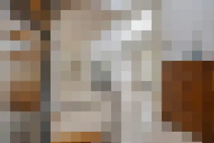 Tongelreep 41 Veldhoven thumbnail 15