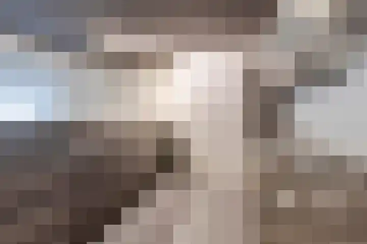 Tongelreep 41 Veldhoven thumbnail 35