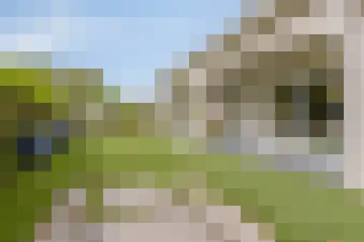 Tongelreep 41 Veldhoven thumbnail 47