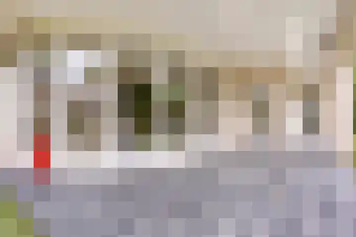 Tongelreep 41 Veldhoven thumbnail 49