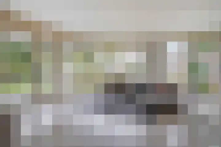 Tongelreep 41 Veldhoven thumbnail 5