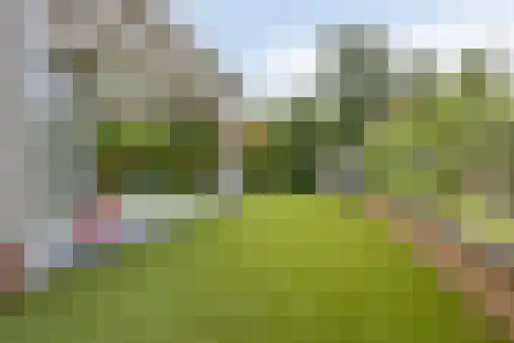 Tongelreep 41 Veldhoven thumbnail 50