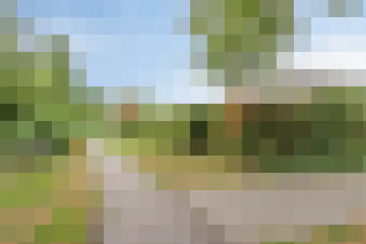 Tongelreep 41 Veldhoven thumbnail 55