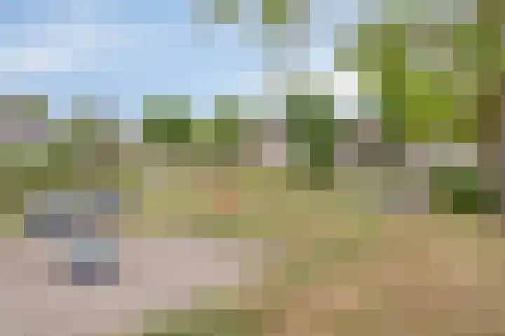 Tongelreep 41 Veldhoven thumbnail 56