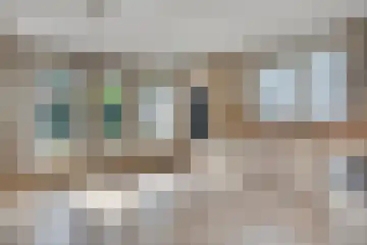 Tongelreep 43 Veldhoven thumbnail 20