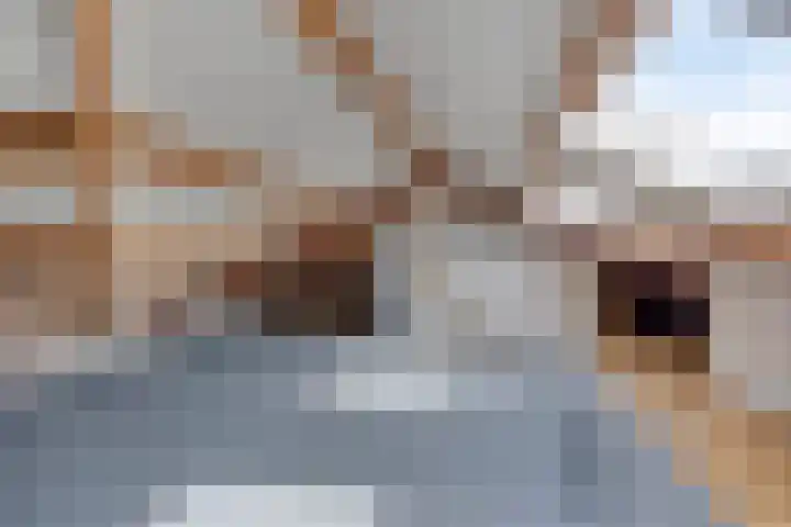 Tongelreep 43 Veldhoven thumbnail 33
