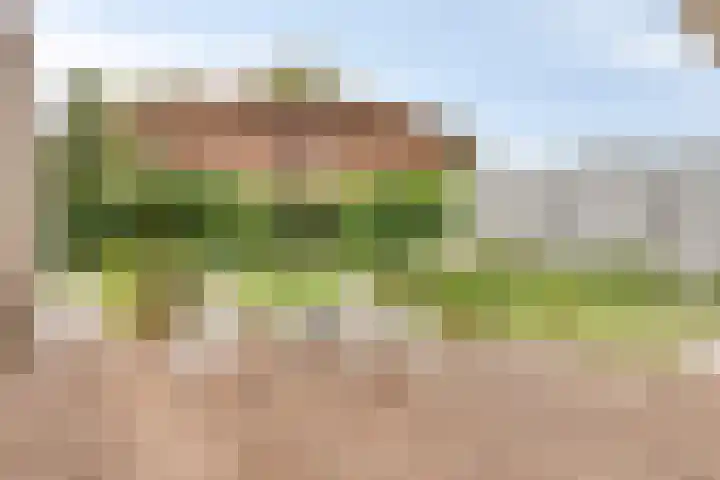 Tongelreep 43 Veldhoven thumbnail 36
