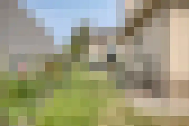 Tongelreep 43 Veldhoven thumbnail 38