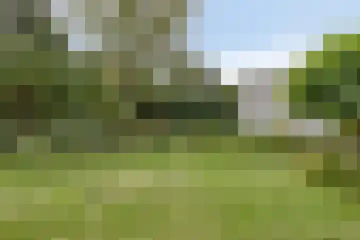 Tongelreep 43 Veldhoven thumbnail 40