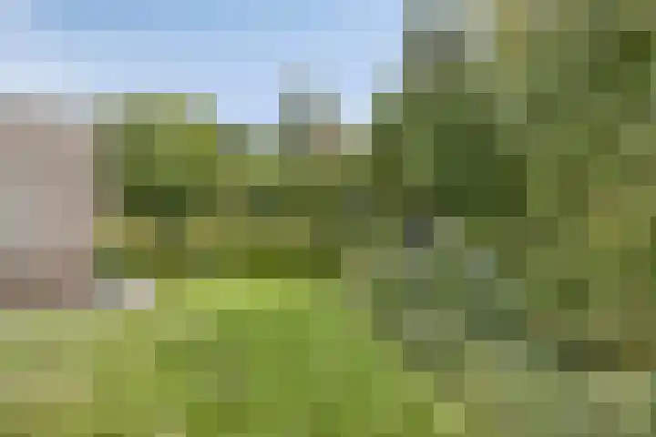 Tongelreep 43 Veldhoven thumbnail 6