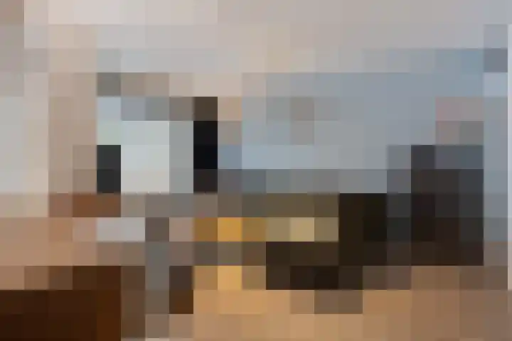 Tongelreep 5 Oisterwijk thumbnail 13