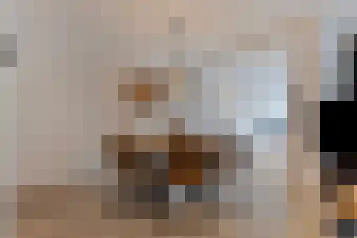 Tongelreep 5 Oisterwijk thumbnail 18