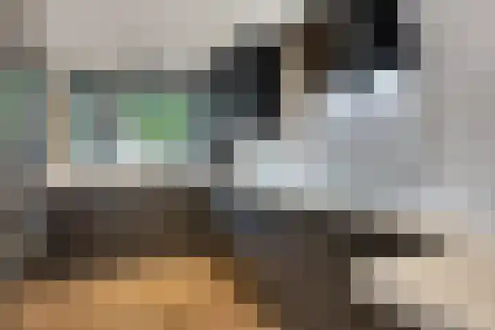 Tongelreep 5 Oisterwijk thumbnail 21