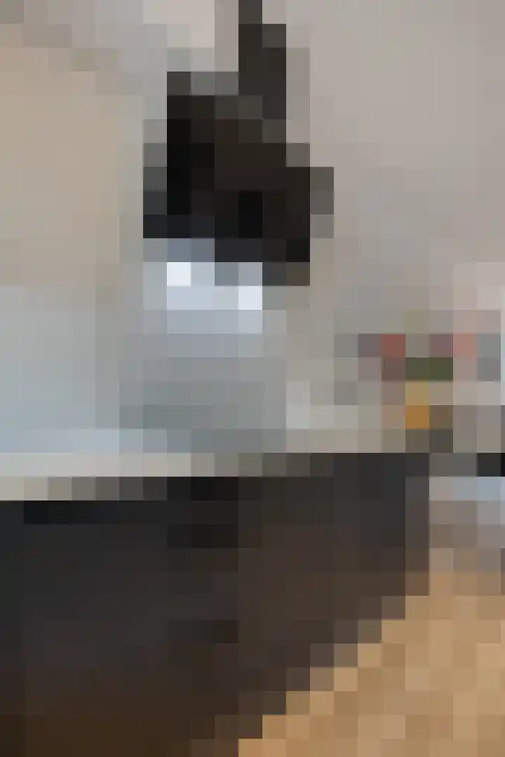 Tongelreep 5 Oisterwijk thumbnail 24