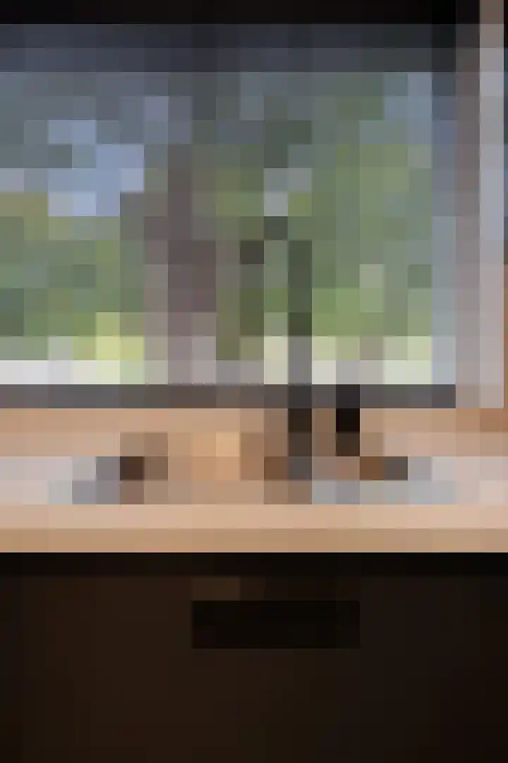 Tongelreep 5 Oisterwijk thumbnail 25