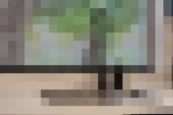 Tongelreep 5 Oisterwijk thumbnail 30