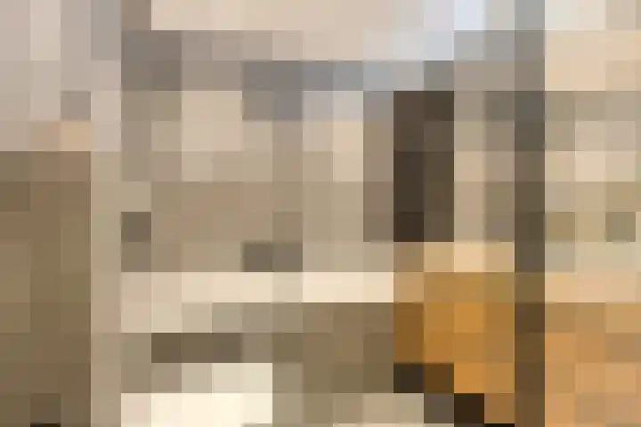 Tongelreep 5 Oisterwijk thumbnail 38