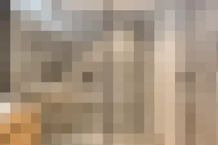 Tongelreep 5 Oisterwijk thumbnail 39