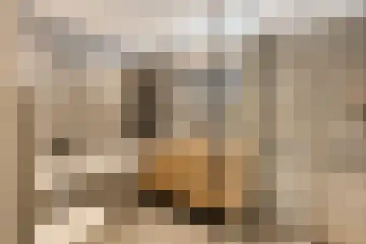 Tongelreep 5 Oisterwijk thumbnail 4