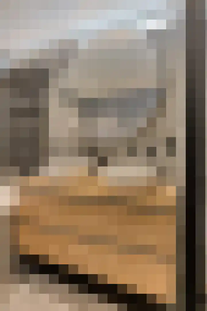 Tongelreep 5 Oisterwijk thumbnail 40