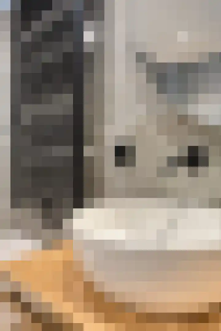Tongelreep 5 Oisterwijk thumbnail 44