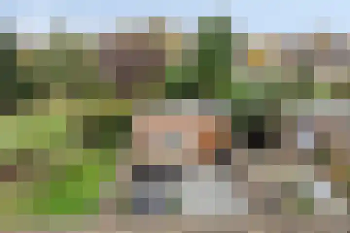 Tongelreep 5 Oisterwijk thumbnail 56
