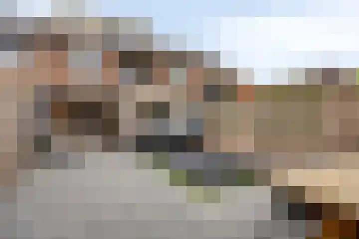 Tongelreep 5 Oisterwijk thumbnail 61