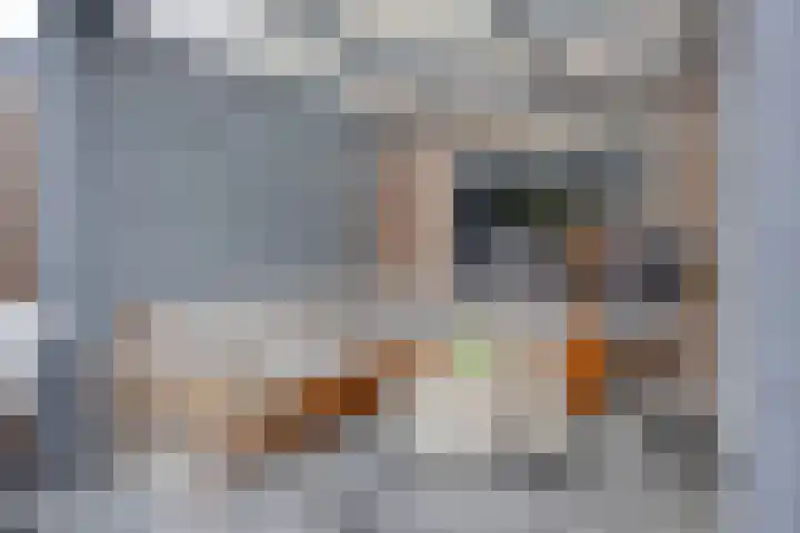 Tongelreep 5 Oisterwijk thumbnail 62