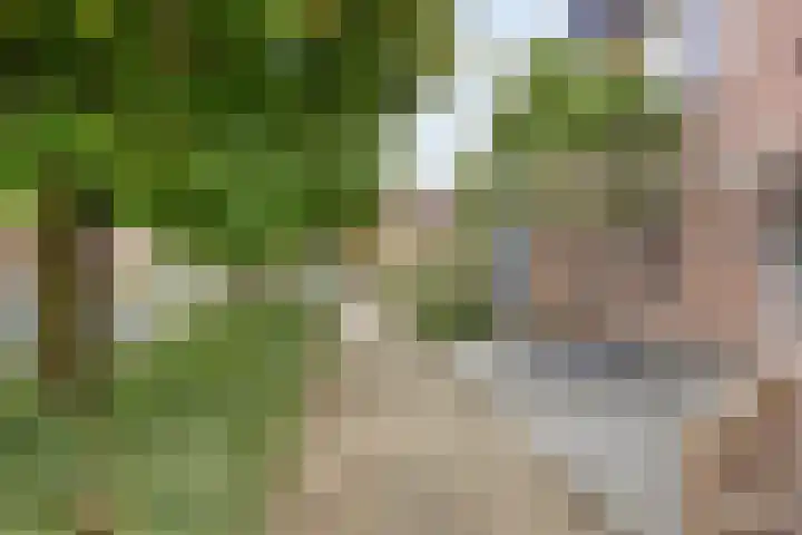 Tongelreep 5 Oisterwijk thumbnail 9