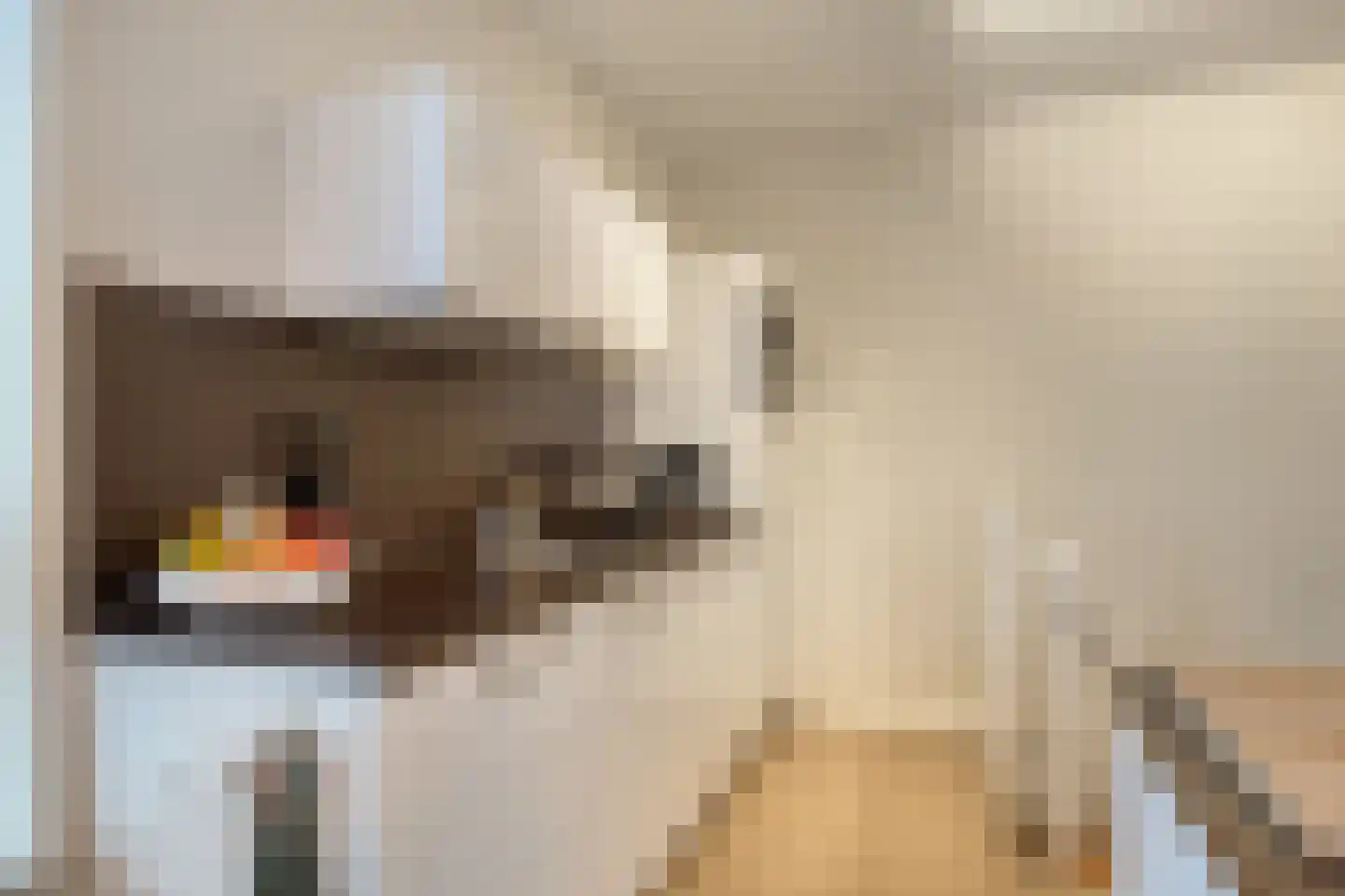 Tongelresestraat 10 Eindhoven thumbnail 18
