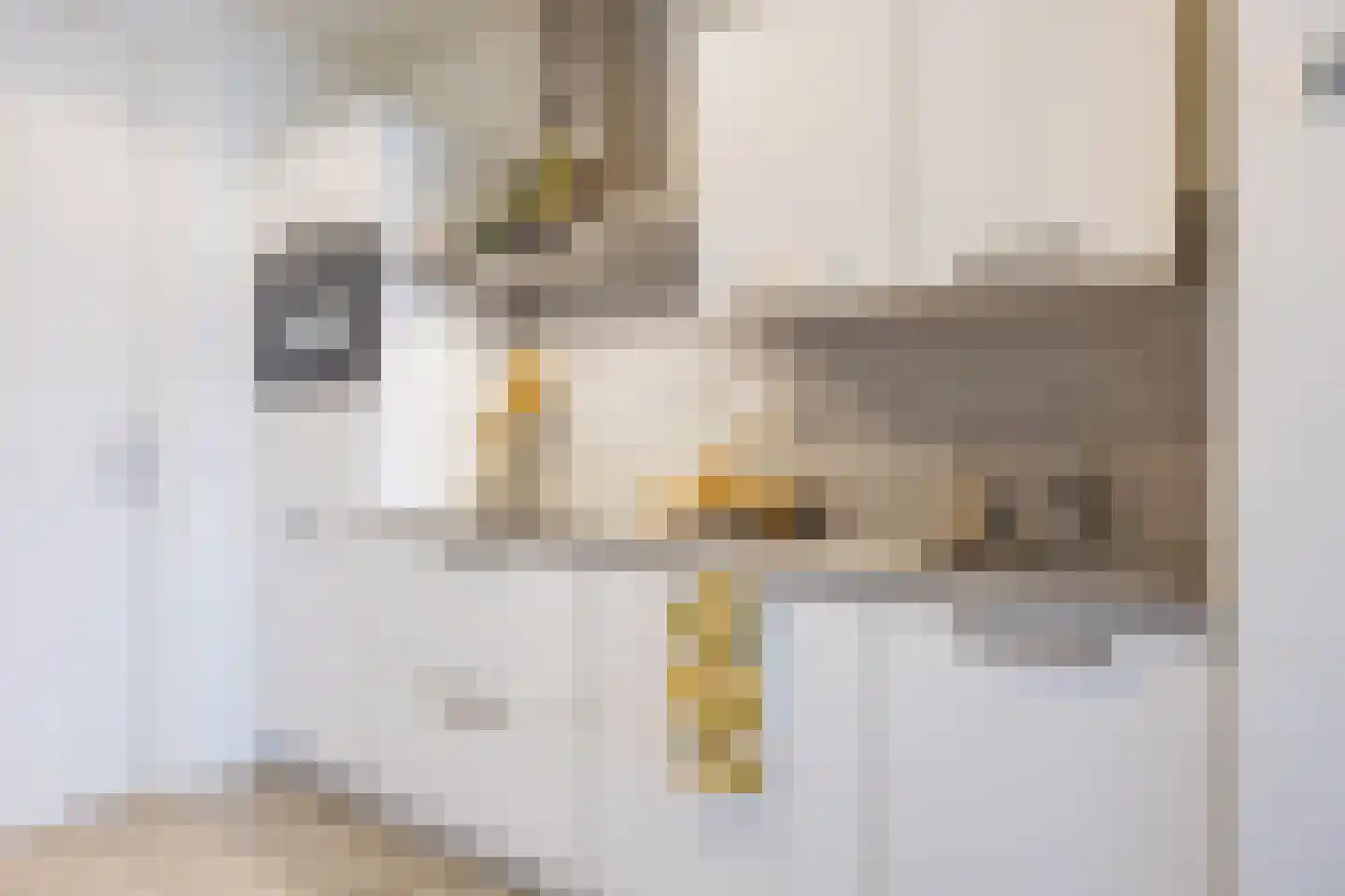 Tongelresestraat 122 K Eindhoven thumbnail 21