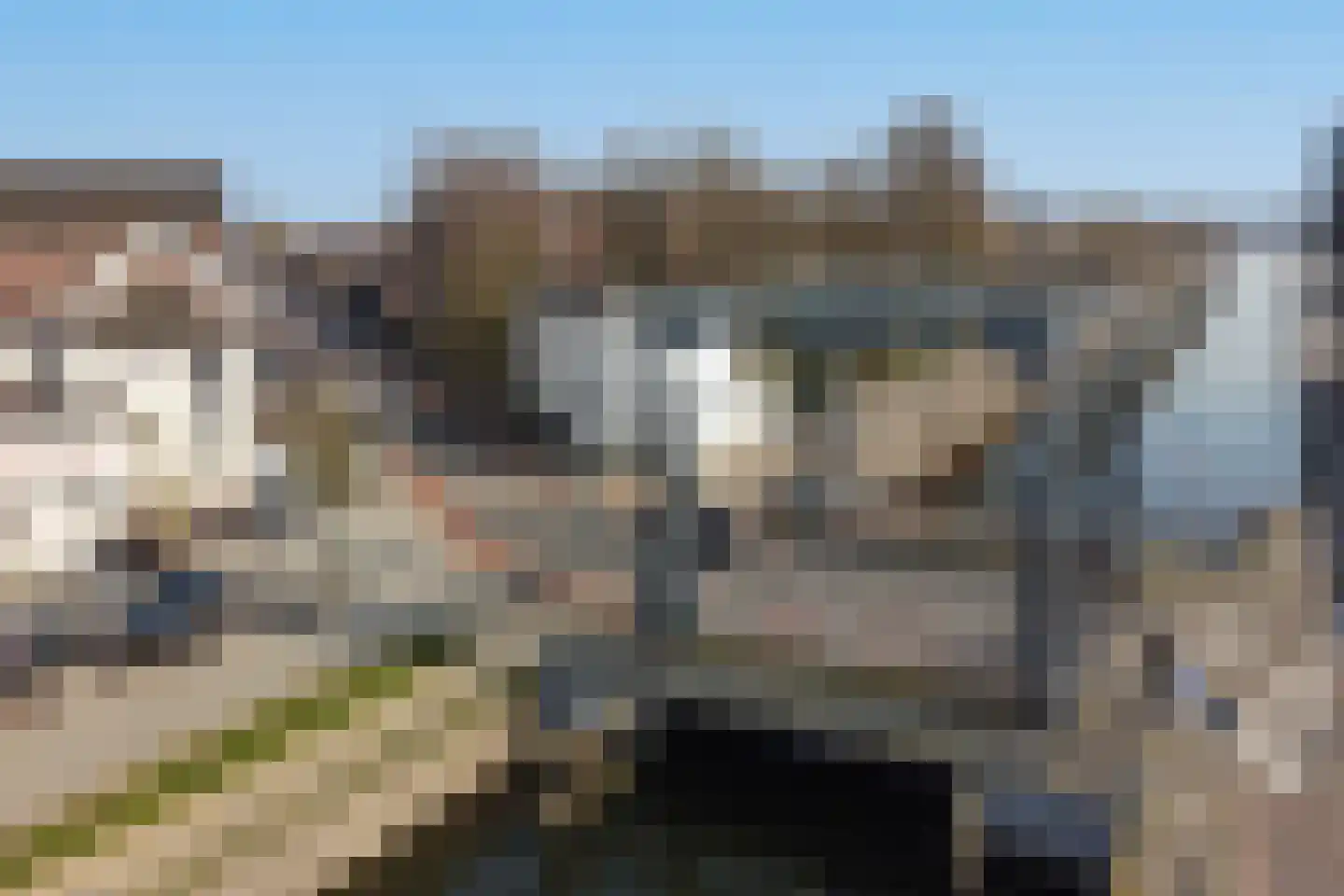 Tongelresestraat 122 K Eindhoven thumbnail 26