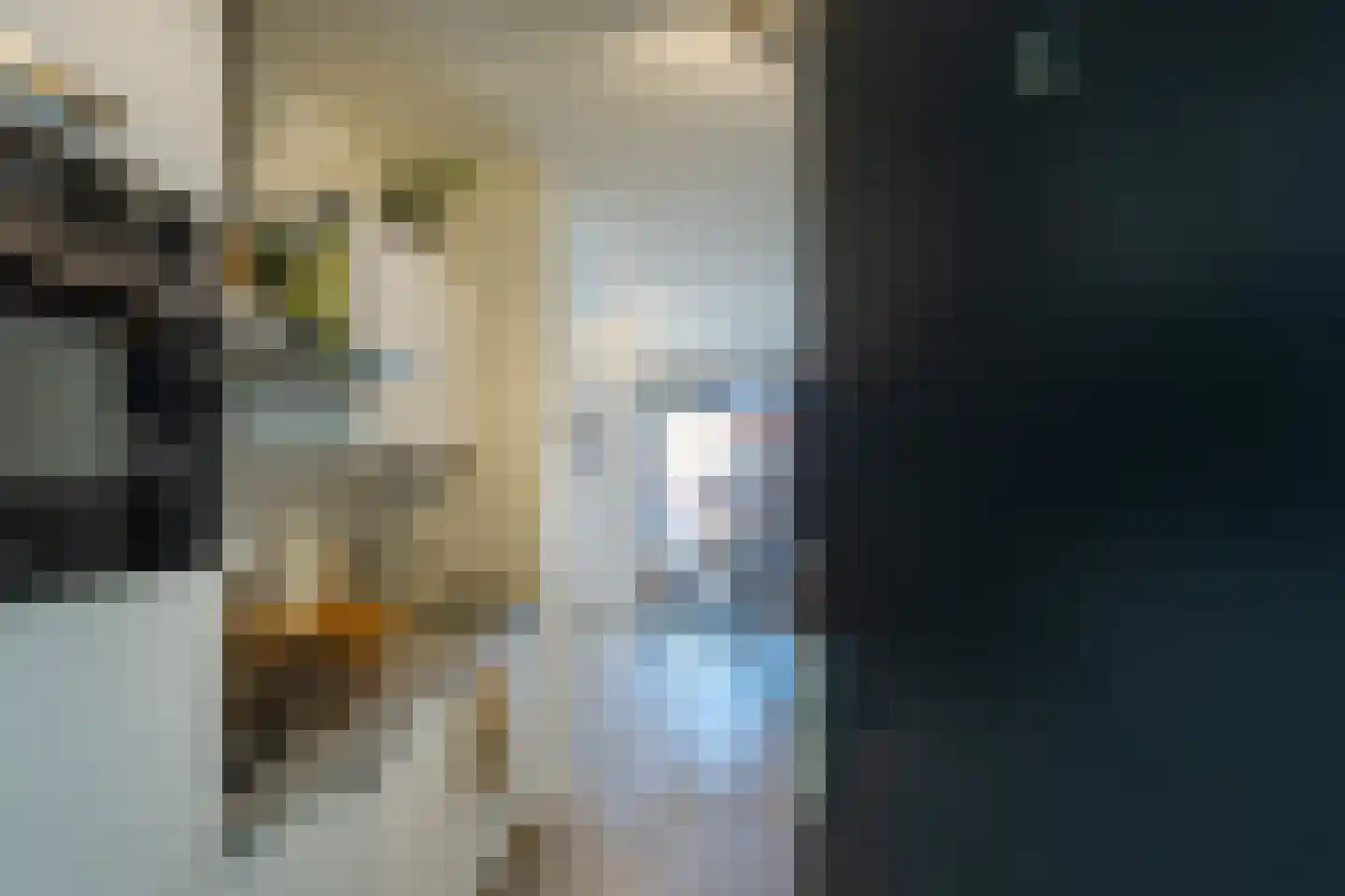 Tongelresestraat 122 K Eindhoven thumbnail 8