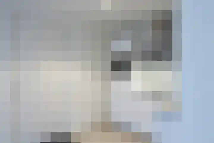 Tongelresestraat 122 L Eindhoven thumbnail 8