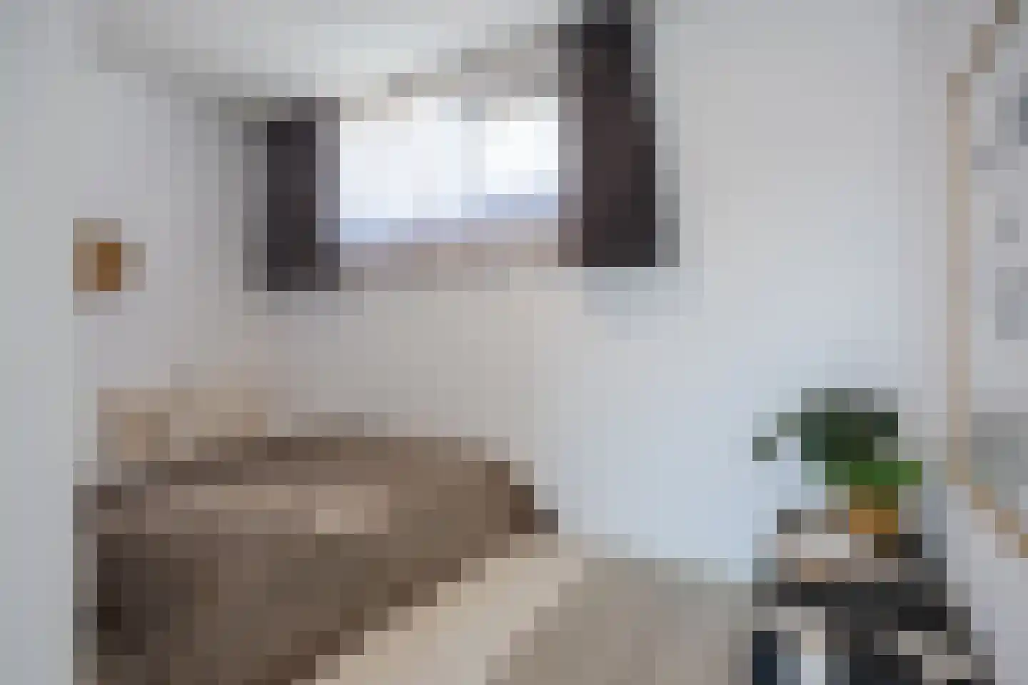Tongelresestraat 122 M Eindhoven thumbnail 11