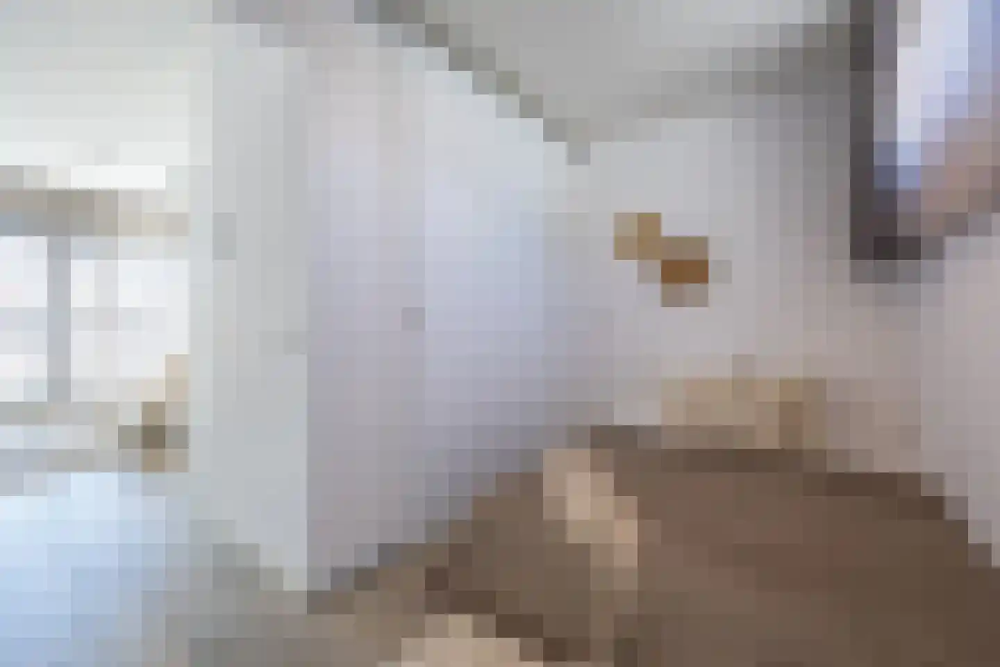 Tongelresestraat 122 M Eindhoven thumbnail 14