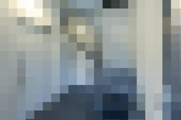Tongelresestraat 122 R Eindhoven thumbnail 7