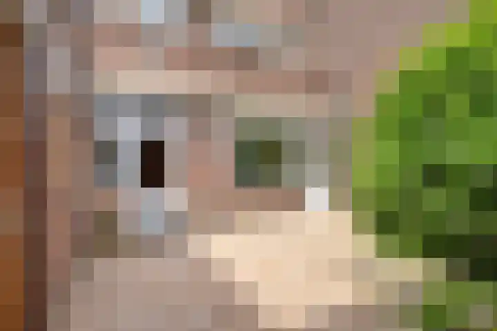 Tongelresestraat 136 Eindhoven thumbnail 29