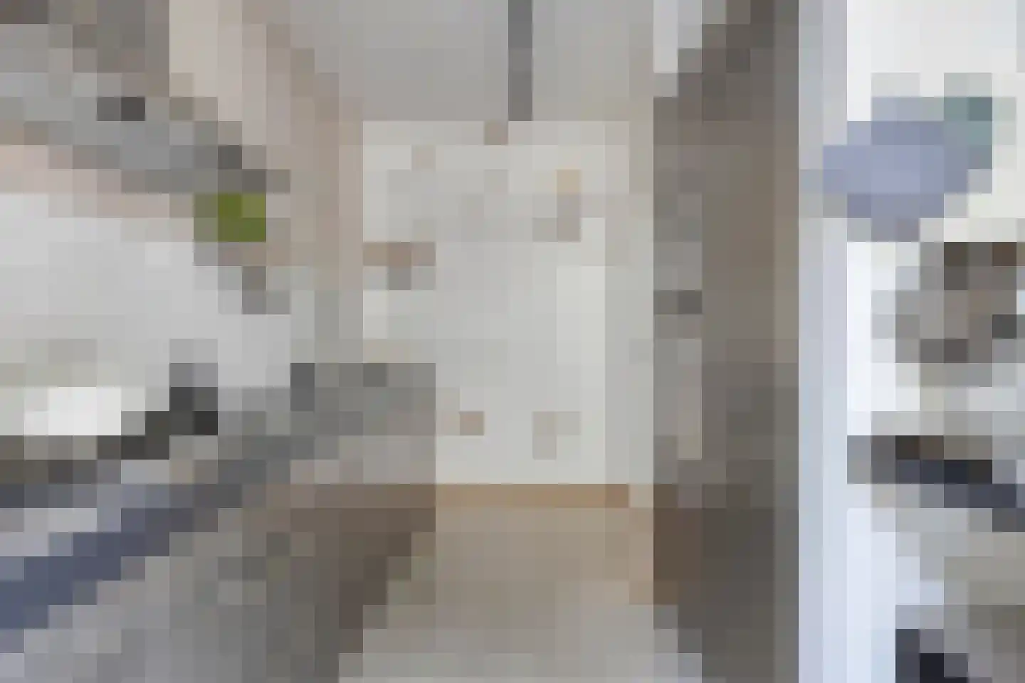Tongelresestraat 155 Eindhoven thumbnail 12